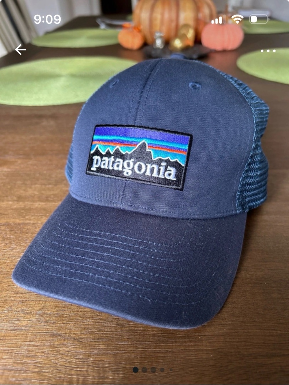 Patagonia Navy Blue Trucker Hat with Multicolor Logo